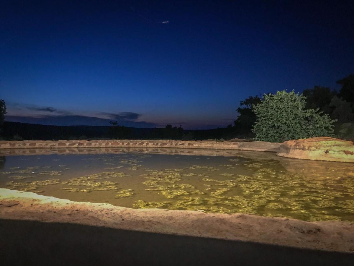 Laluka Safari Lodge - محمية ويلغيفوندين غايم المظهر الخارجي الصورة